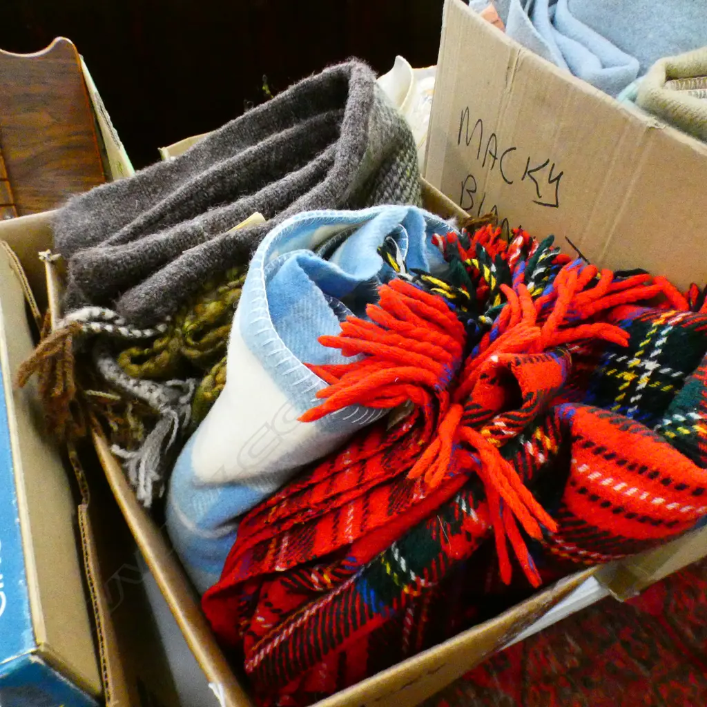 BOX LOT WOOLEN BLANKETS & CUSHION COVER ETC Image 1++