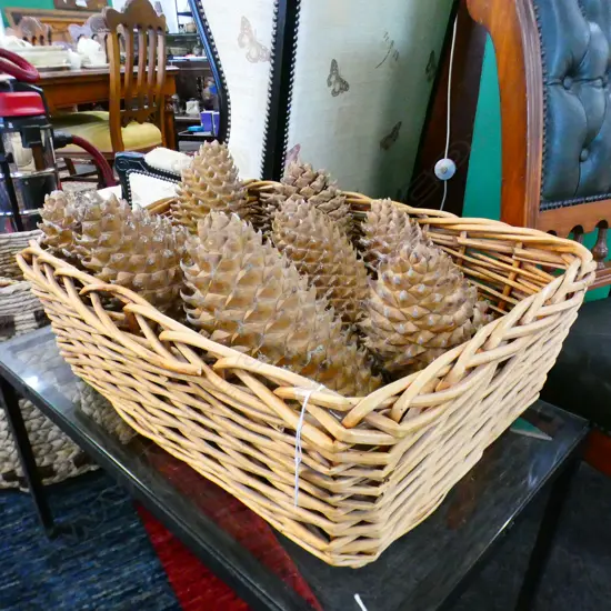 WOVEN BASKET w. GIANT COULTER PINE CONES