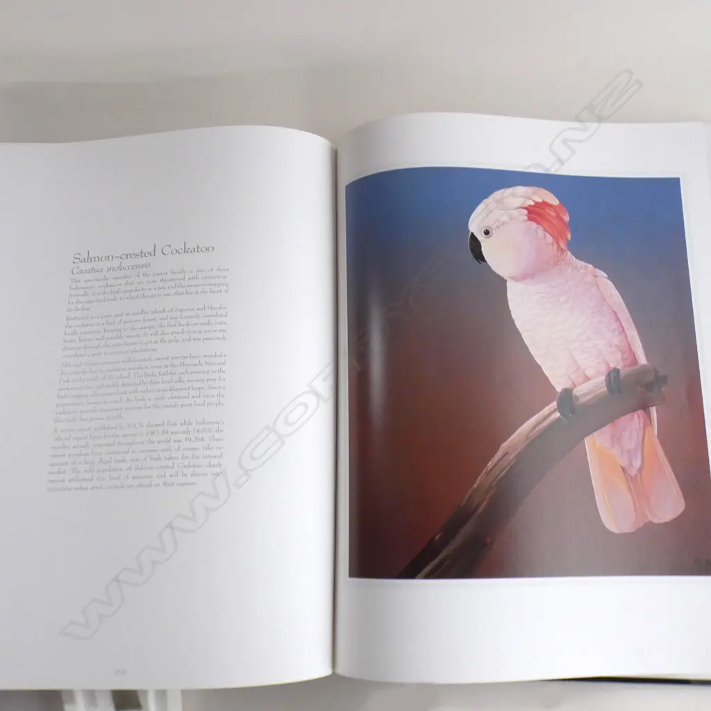 LG REFERENCE BOOK LTD ED 'THE FIFTY RAREST BIRDS OF THE WORLD' BY BLAKE L TWIGDEN  Image 1++
