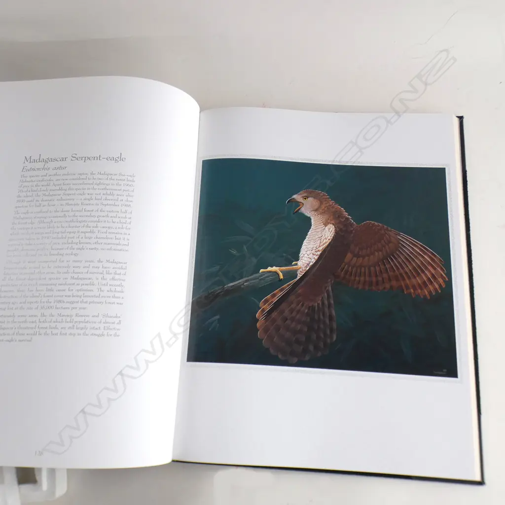 LG REFERENCE BOOK LTD ED 'THE FIFTY RAREST BIRDS OF THE WORLD' BY BLAKE L TWIGDEN  Image 1++