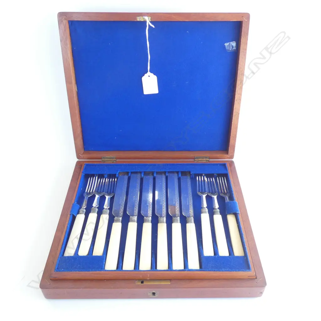 CASED SET OF 'BONE' HANDLED FISH KNIVES  Image 1++