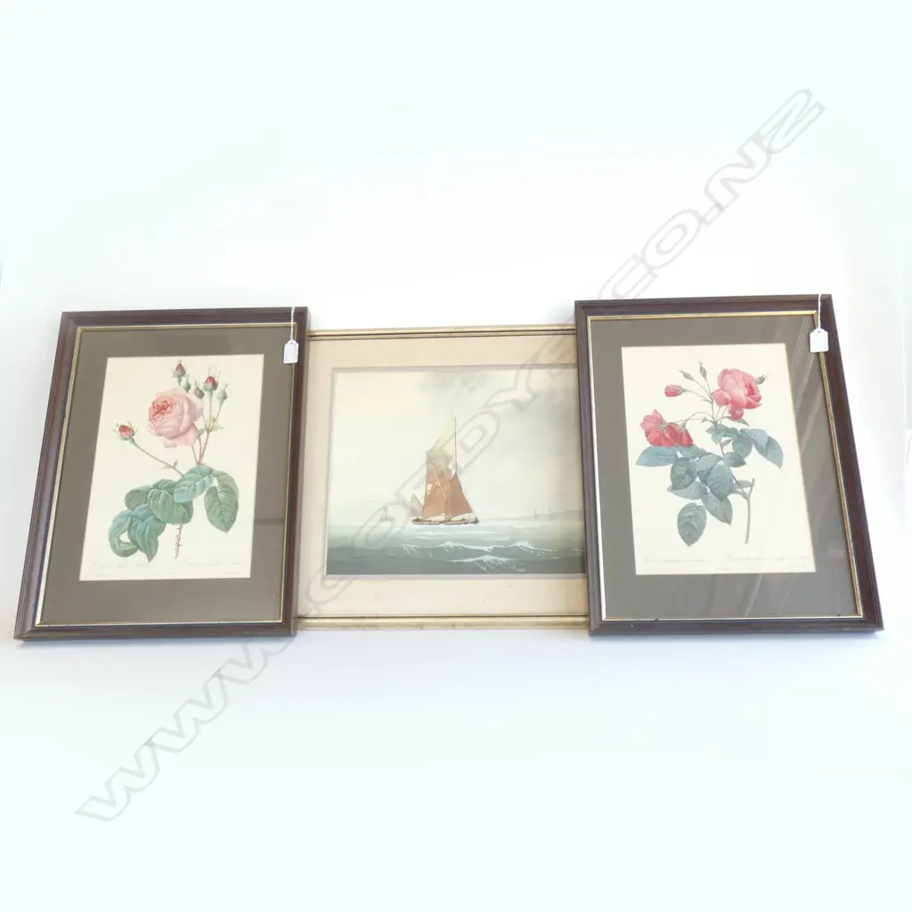 3 ARTWORKS; 2 ROSE PRINTS + GEOFFREY MARTON? YACHT W/C 310x435mm Image 1++