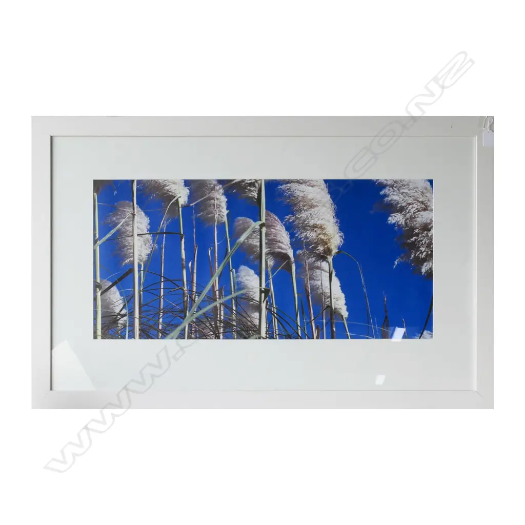 JO BLAKEMORE, 'TOI TOI', PRINT ON CANVAS, 1020 X 640MM INC. FRAME Image 1++