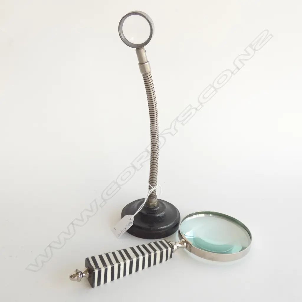 2 MAGNIFYING GLASSES ONE ON FLEXIBLE STAND H.300mm Image 1++