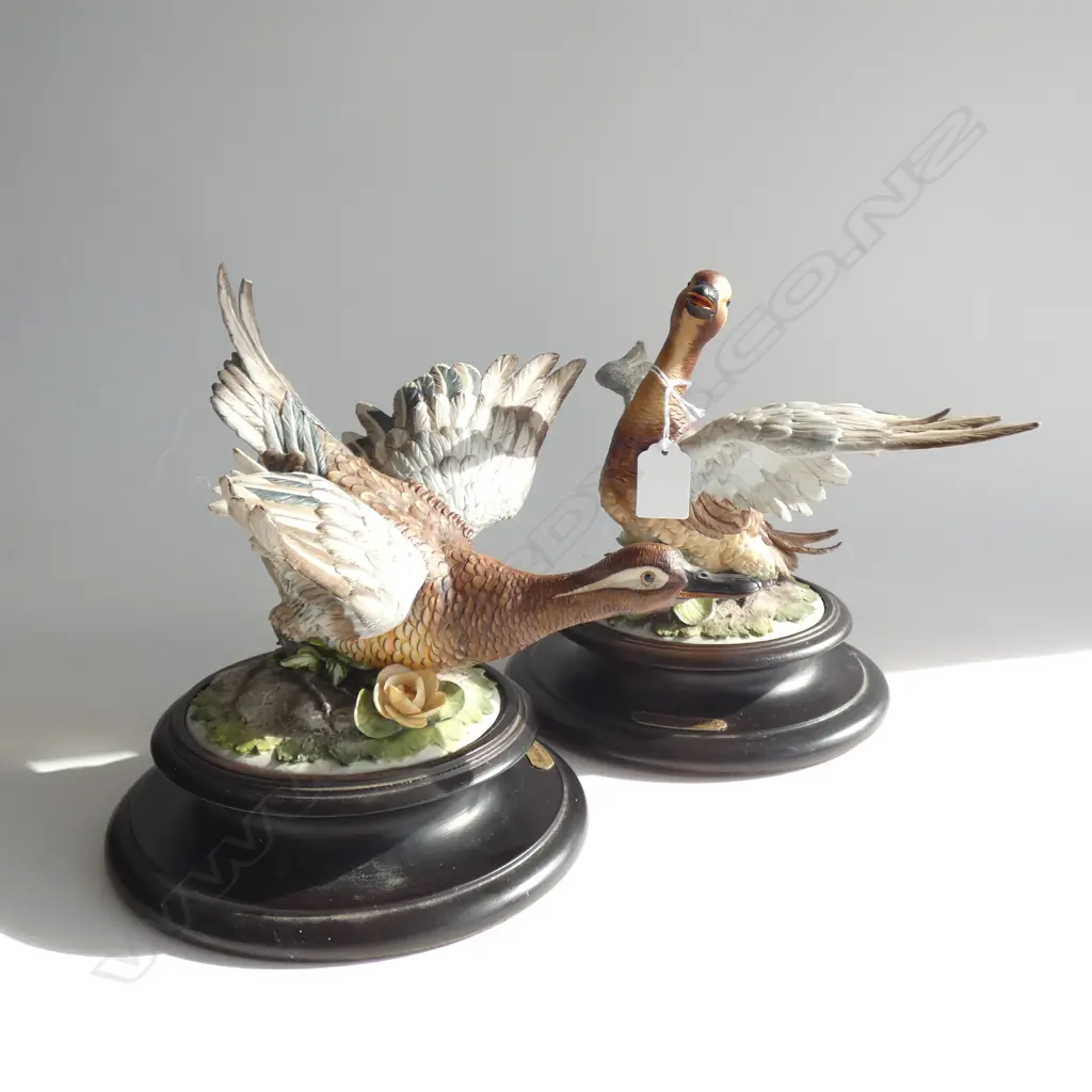 PR CAPODIMONTE DUCKS ON WOODEN STANDS... Image 1++