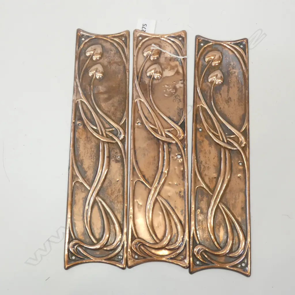 ART NOUVEAU COPPER DOOR PLATES 300x70mm Image 1++