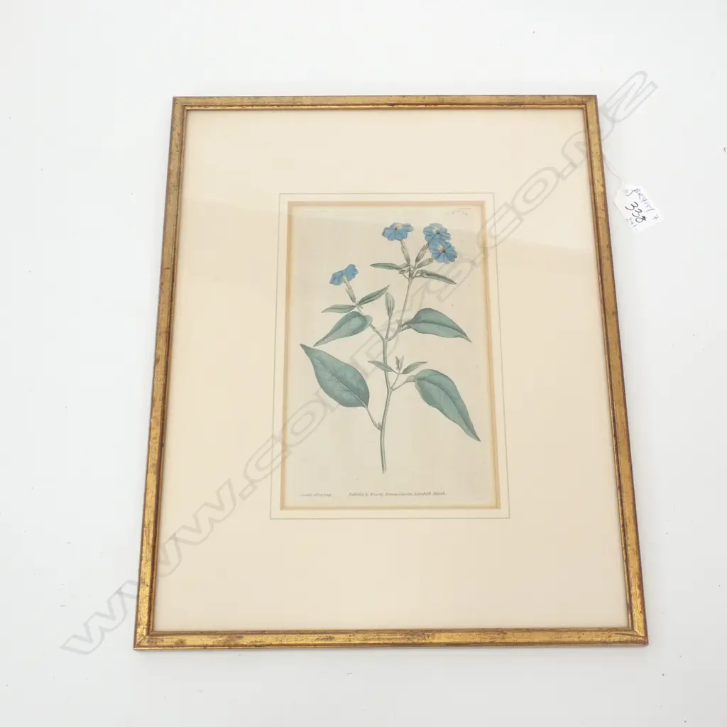 ANDREW INGAMELLS 2 LARGE PRINTS OF LONDON CHURCHES; 475x290mm + BOTANICAL ENGRAVING Image 1++