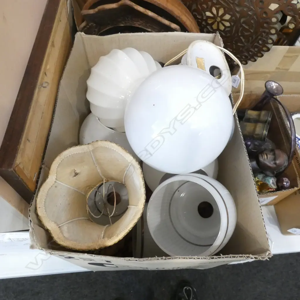 BOX LOT ASST. WHITE GLASS LIGHT SHADES ETC Image 1++