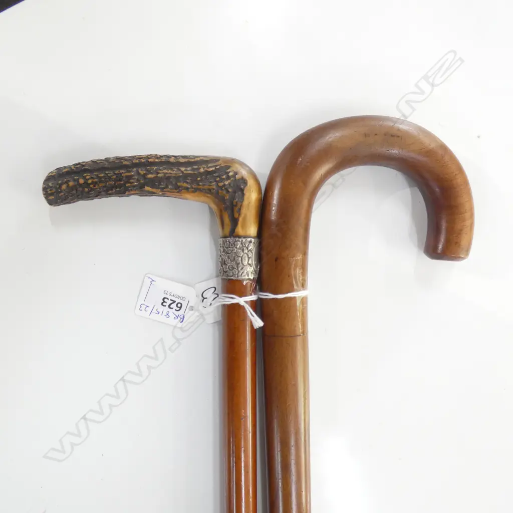 2 WALKING STICKS; STAG HORN HANDLE, MALACCA CANE & STG COLLAR 1879 + ENGLISH COUNTRY STYLE MAHOGANY C.1900 Image 1++