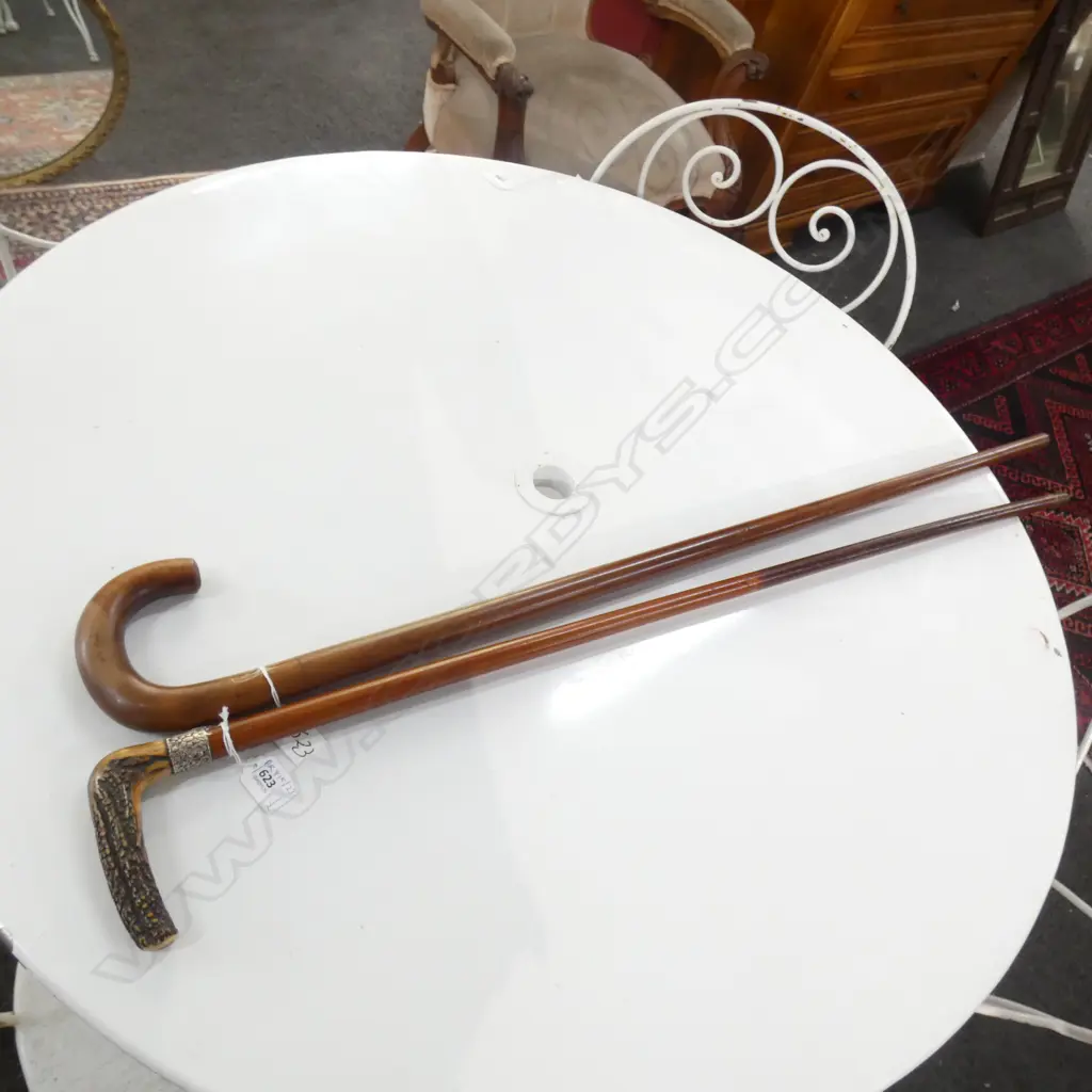 2 WALKING STICKS; STAG HORN HANDLE, MALACCA CANE & STG COLLAR 1879 + ENGLISH COUNTRY STYLE MAHOGANY C.1900 Image 1++