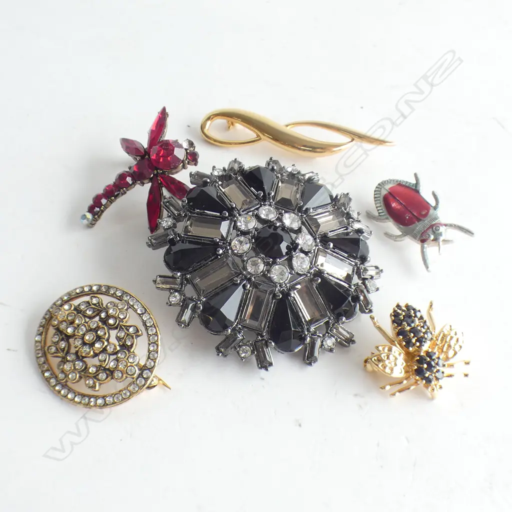 6 ASST COSTUME JEWELLERY BROOCHES INCL BEE, DRAGONFLY ETC.. Image 1++
