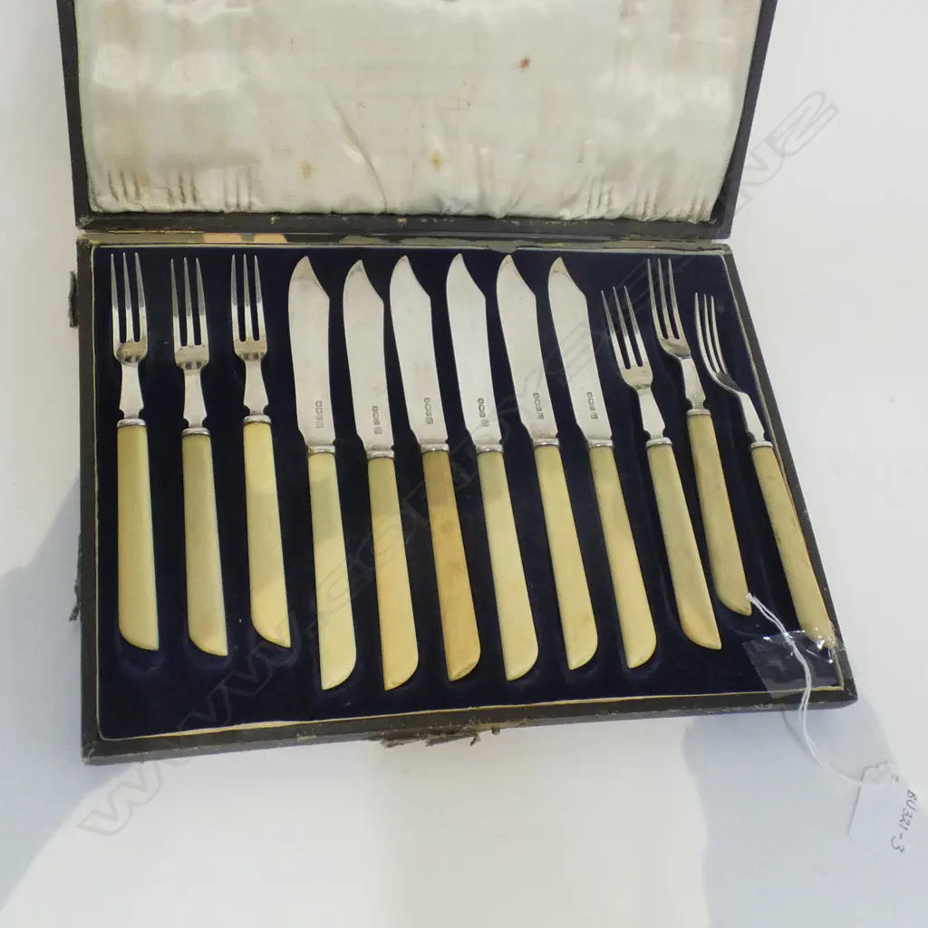 VINTAGE BOXED SET 6 BONE HANDLED FISH KNIVES & FORKS  Image 1++