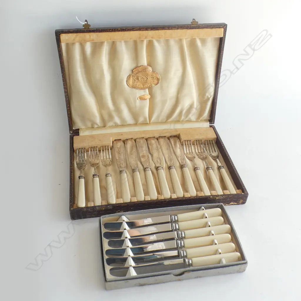 12 PCE IVORINE CASEIN 'BONE' HANDLED FISH SET, CASED + KNIVES Image 1++