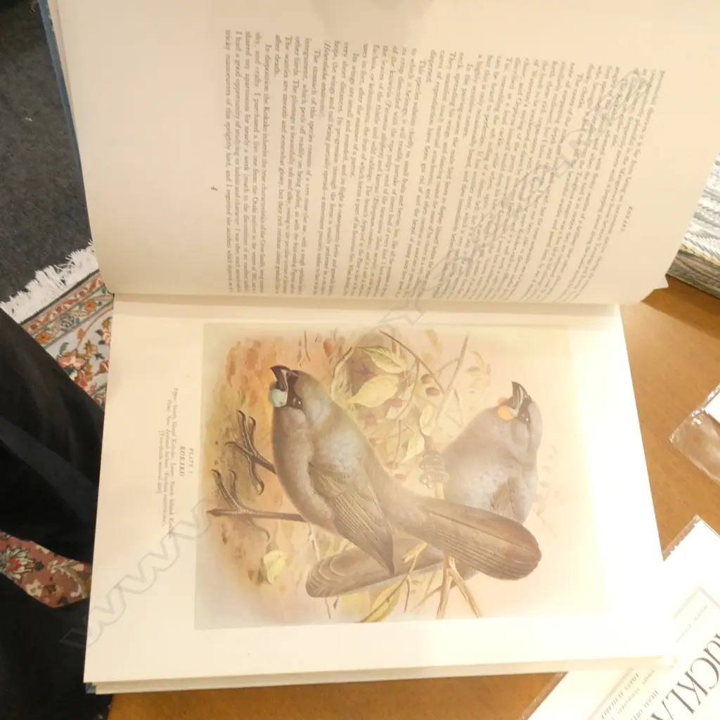 CASED BOOK; BULLERS BIRDS OF NEW ZEALAND Image 1++