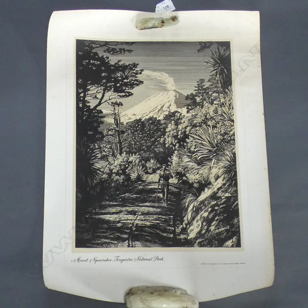 SET 7 NZ FORESTRY DEPT PrINTS: Tane Mahuta. Hongi's Track etc. On quality thick paper 600x400mm Image 1++