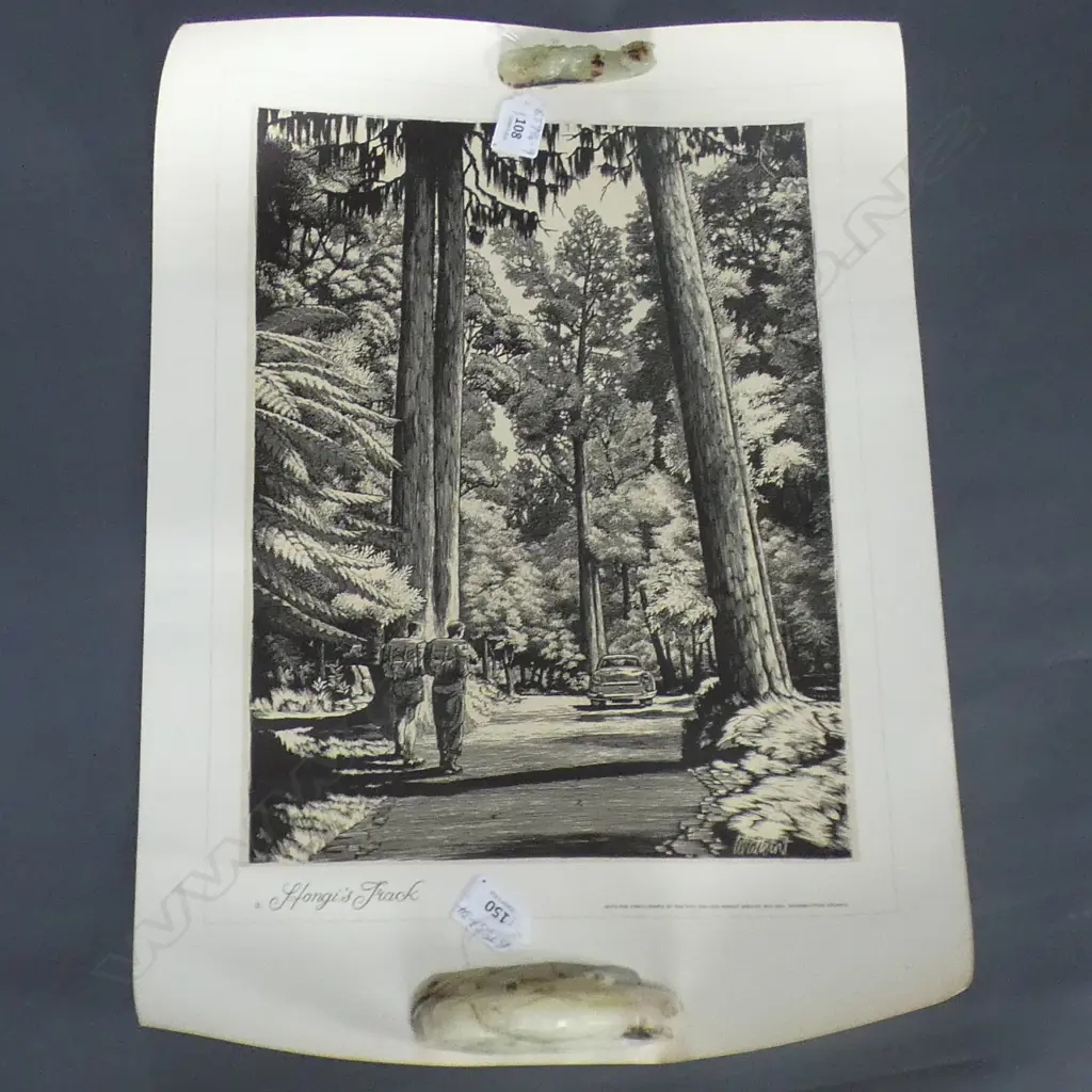 SET 7 NZ FORESTRY DEPT PrINTS: Tane Mahuta. Hongi's Track etc. On quality thick paper 600x400mm Image 1++