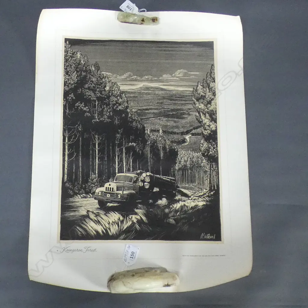 SET 7 NZ FORESTRY DEPT PrINTS: Tane Mahuta. Hongi's Track etc. On quality thick paper 600x400mm Image 1++