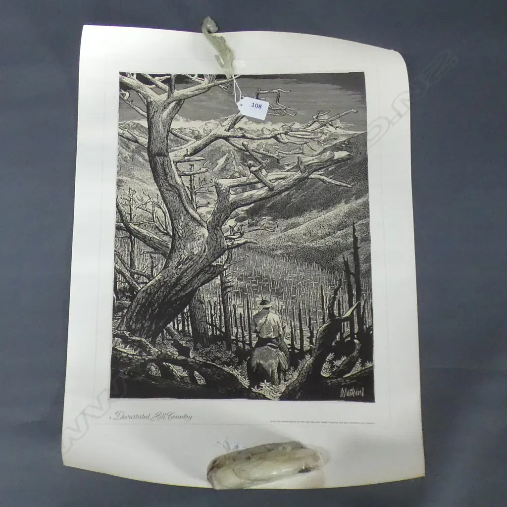 SET 7 NZ FORESTRY DEPT PrINTS: Tane Mahuta. Hongi's Track etc. On quality thick paper 600x400mm Image 1++