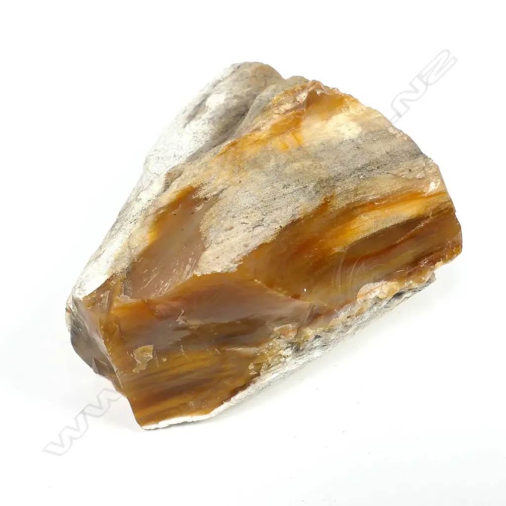 PETRIFIED WOOD SLAB, 1.1KG, 140 x 80 x 120mm Image 1++