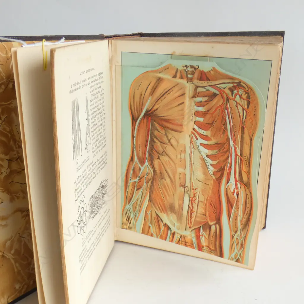 LG BOOK - DOMESTIC MEDICAL PRACTICE - 33RD EDITION REPRINTED 1943  Image 1++