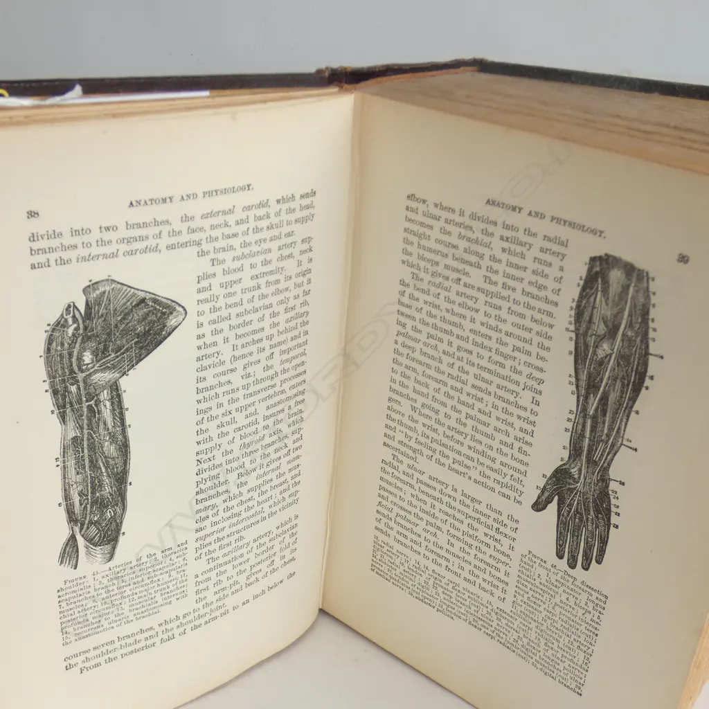 LG BOOK - DOMESTIC MEDICAL PRACTICE - 33RD EDITION REPRINTED 1943  Image 1++