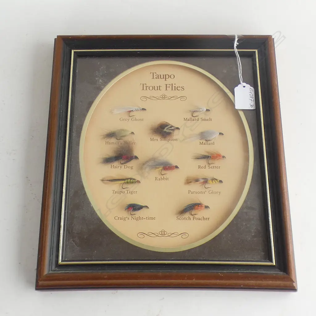 FRAMED DISPLAY 'TAUPO TROUT FLIES' x 12 Image 1++