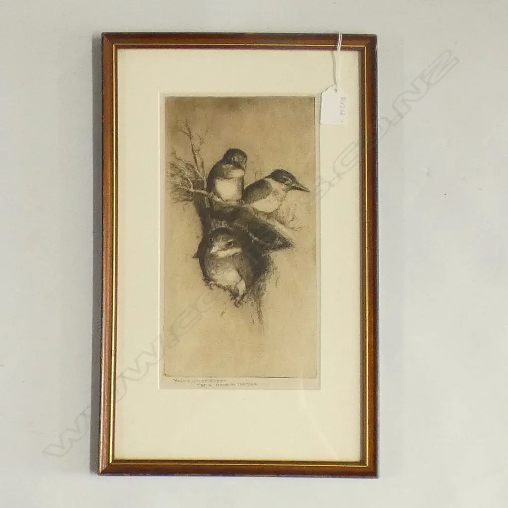 TREVOR LLOYD ETCHING, 'YOUNG KINGFISHERS, THEIR HOME IN THE BA(N)K'.  CERT OF AUTHENTICITY VERSO. 250 x 130mm Image 1++