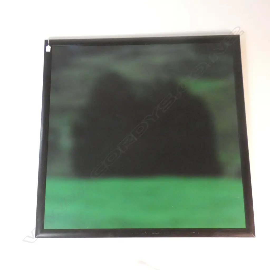 LARGE CONTEMPORARY GREEN / BLACK PRINTED ARTWORK 1040x1040mm Image 1++