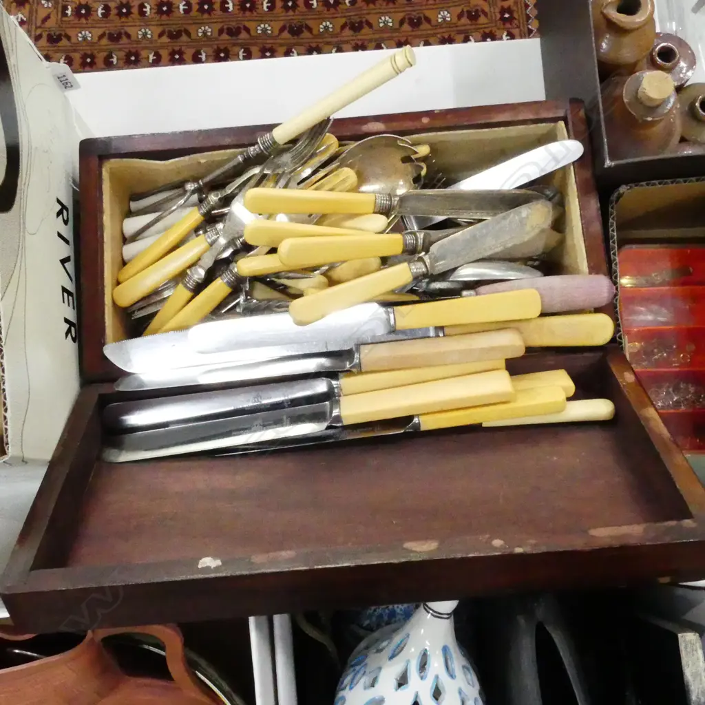 WOODEN BOX ASST. CUTLERY INCL. CASEIN 'BONE' HANDLED KNIVES Image 1++