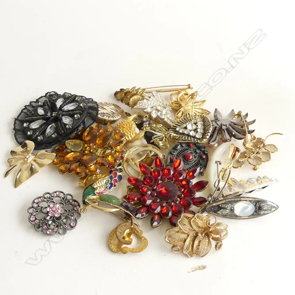 BAG ASST GOOD COSTUME JEWELLERY BROOCHES & SCARF CLIPS Image 1++