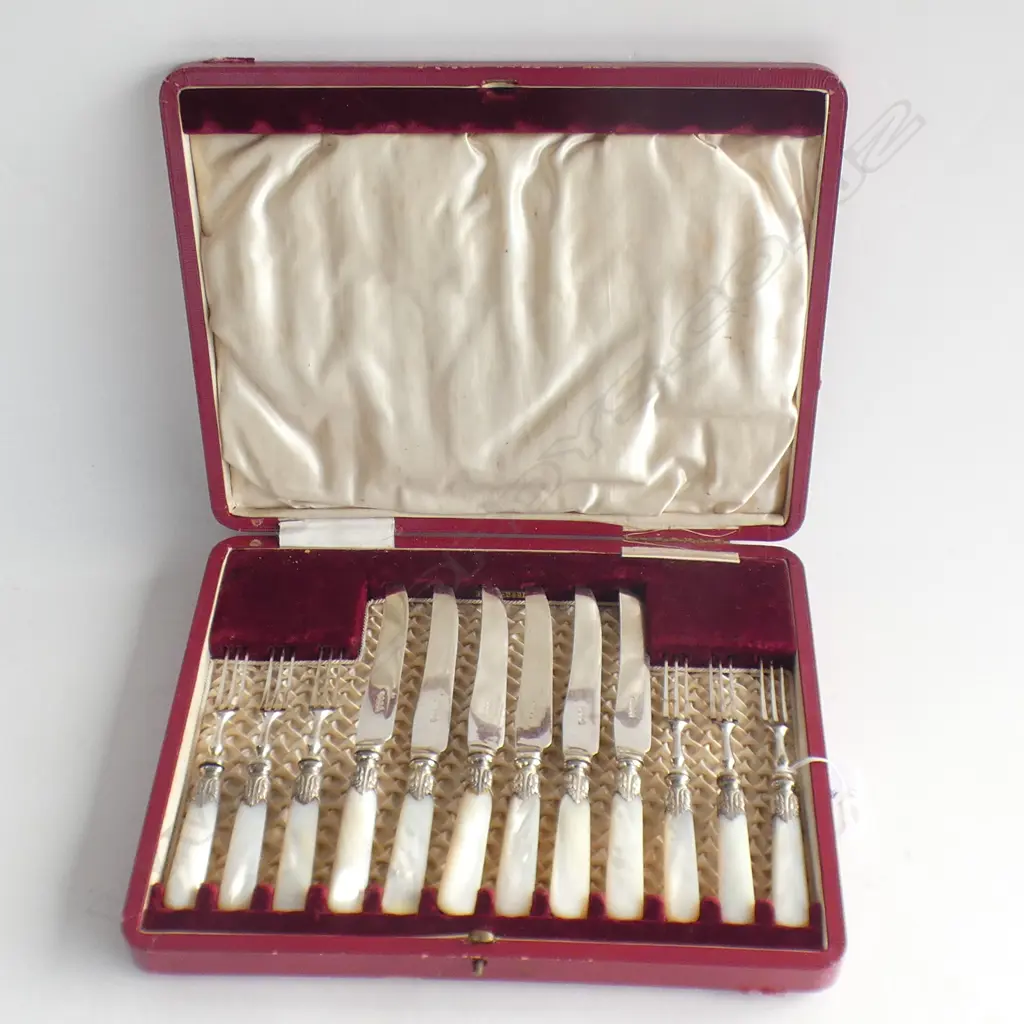 12 PCE MOP HANDLED FRUIT CUTLERY SET, CASED Image 1++