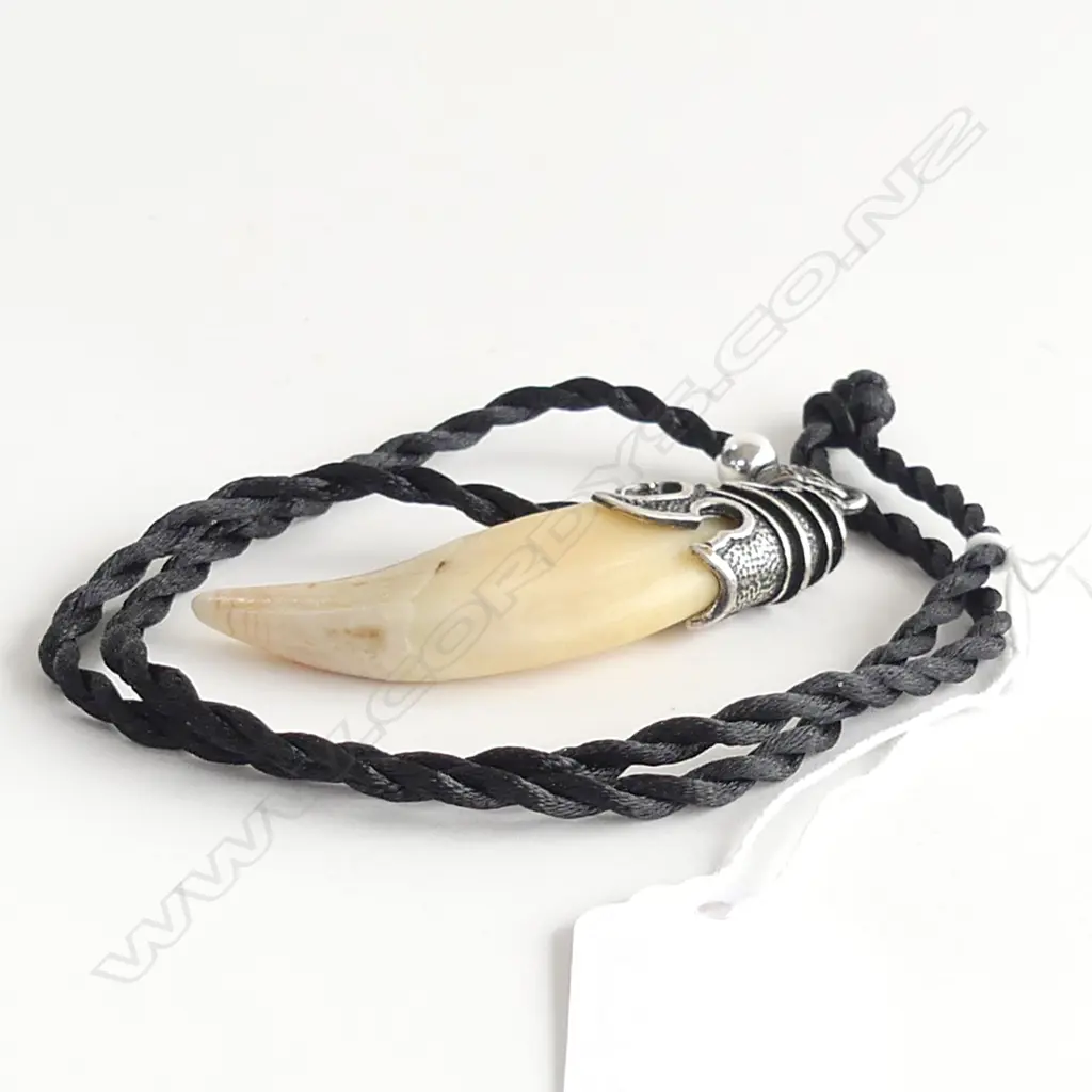 SILVER MOUNTED BEARS TOOTH PENDANT Image 1++
