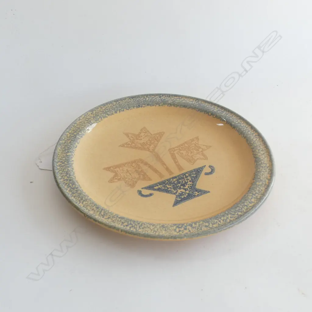 PFALTZGRAFF PLATE; SPONGED DECORATION 265mm dia Image 1++