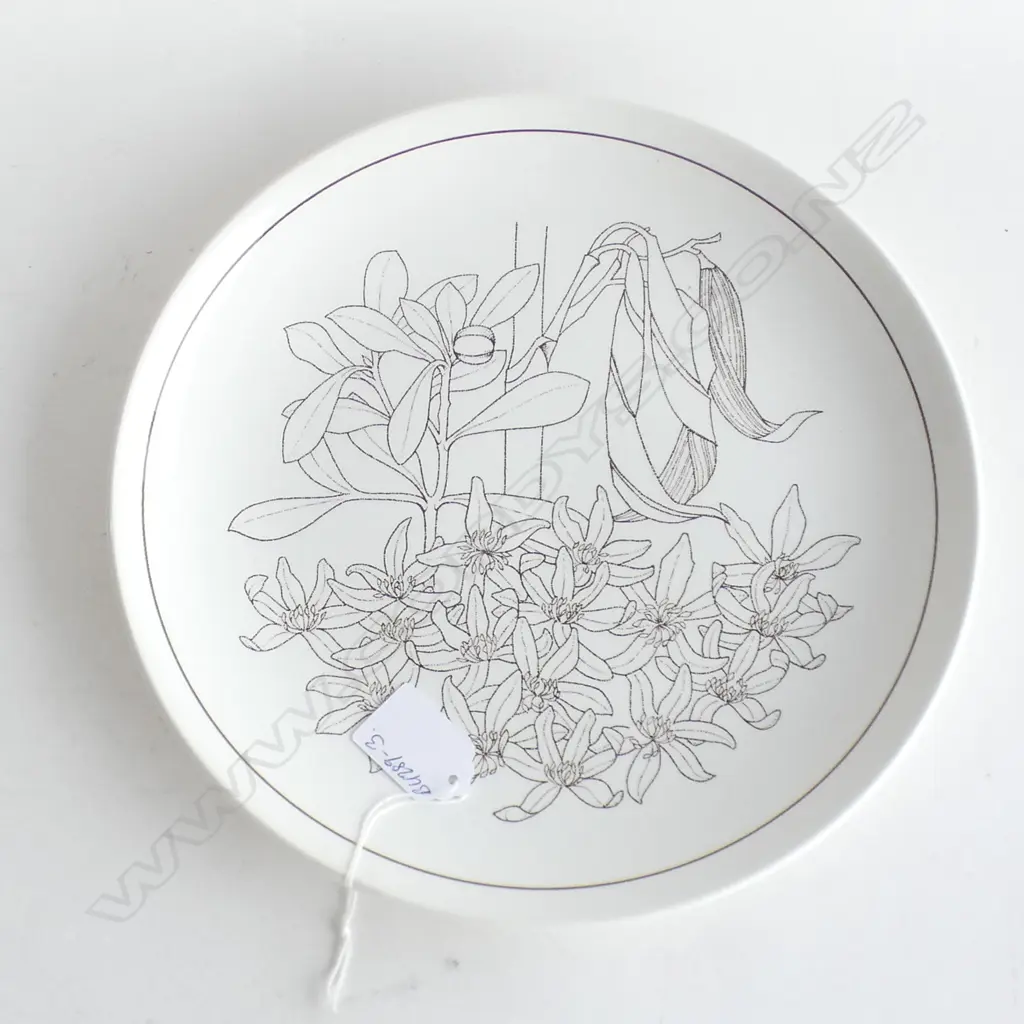 CROWN LYNN EXPERMENTAL DESIGN PLATE NOT IN PRODUCTION unmarked.... Image 1++