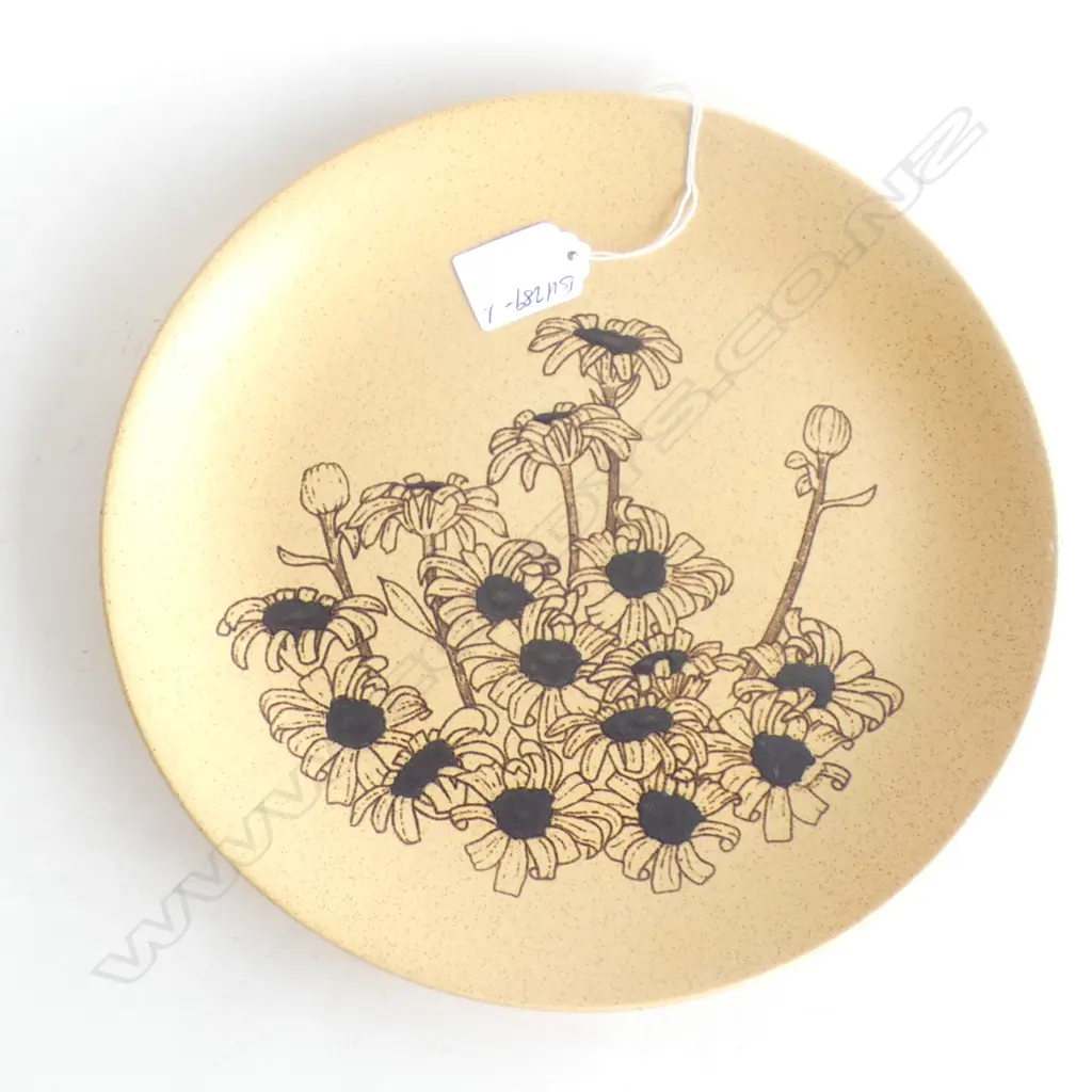CROWN LYNN EXPERMENTAL DESIGN PLATE NOT IN PRODUCTION unmarked.... Image 1++