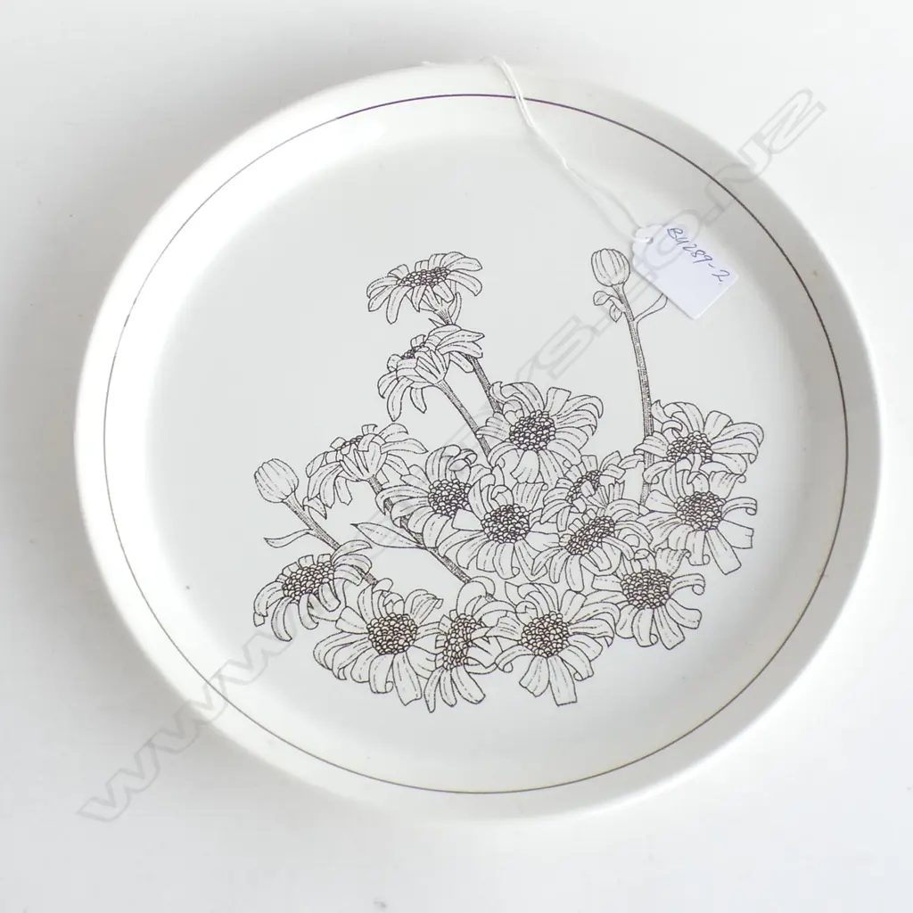 CROWN LYNN EXPERMENTAL DESIGN PLATE NOT IN PRODUCTION unmarked.... Image 1++