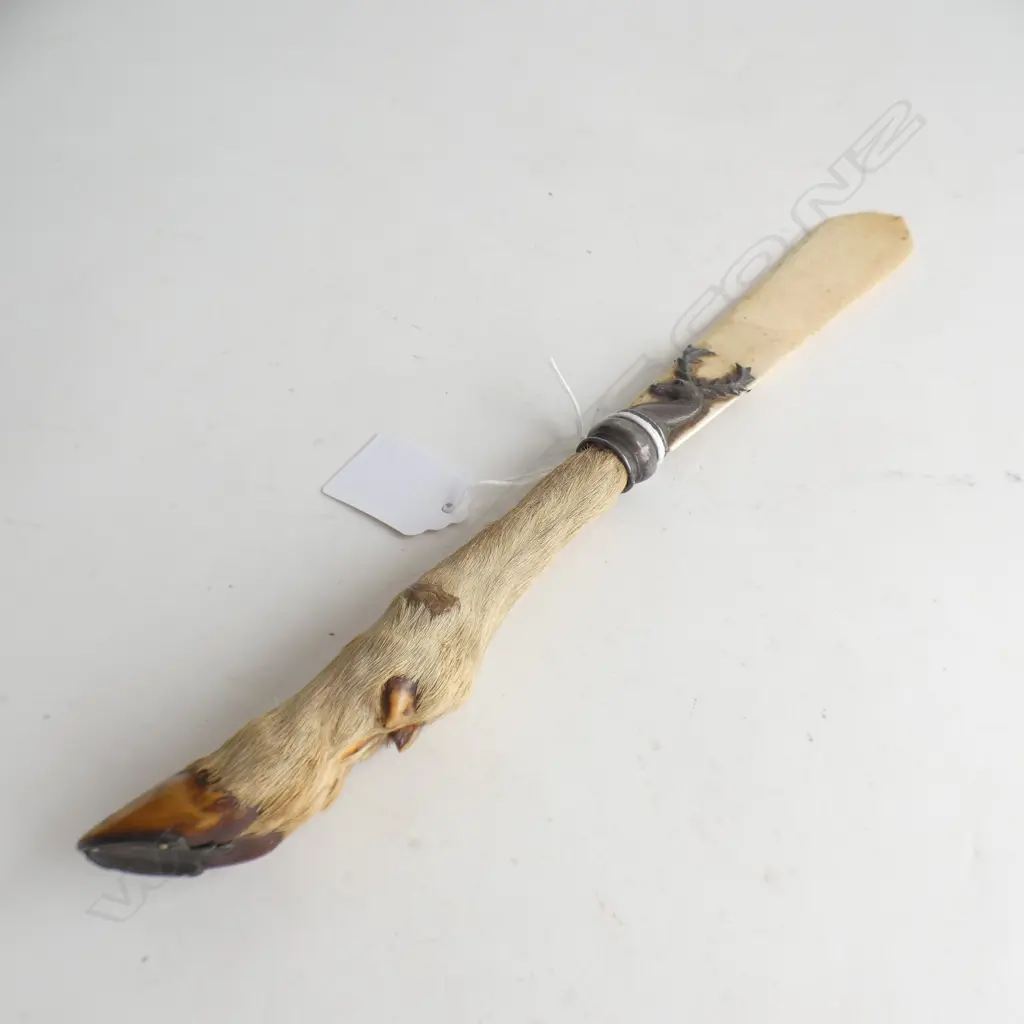 ANIMAL HOOF LETTER OPENER BONE BLADE AF BROKEN TIP Image 1++