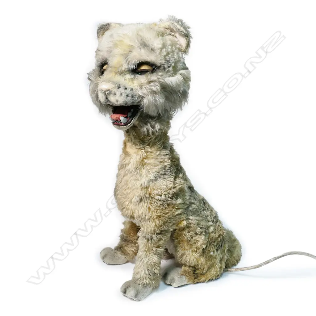 RARE LARGE TIGER AUTOMATON, WORKING, EX-NAPIER EARTHQUAKE MUSEUM, 500 x 610mm Image 1++