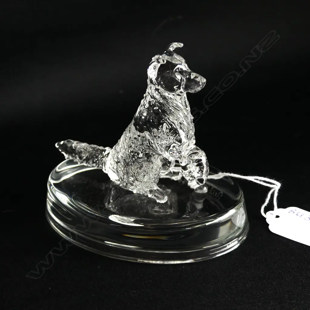 BORDER COLLIE GLASS PAPERWEIGHT - SIGNED & DATED 'NEIL HARRIS 2016' Image 1++