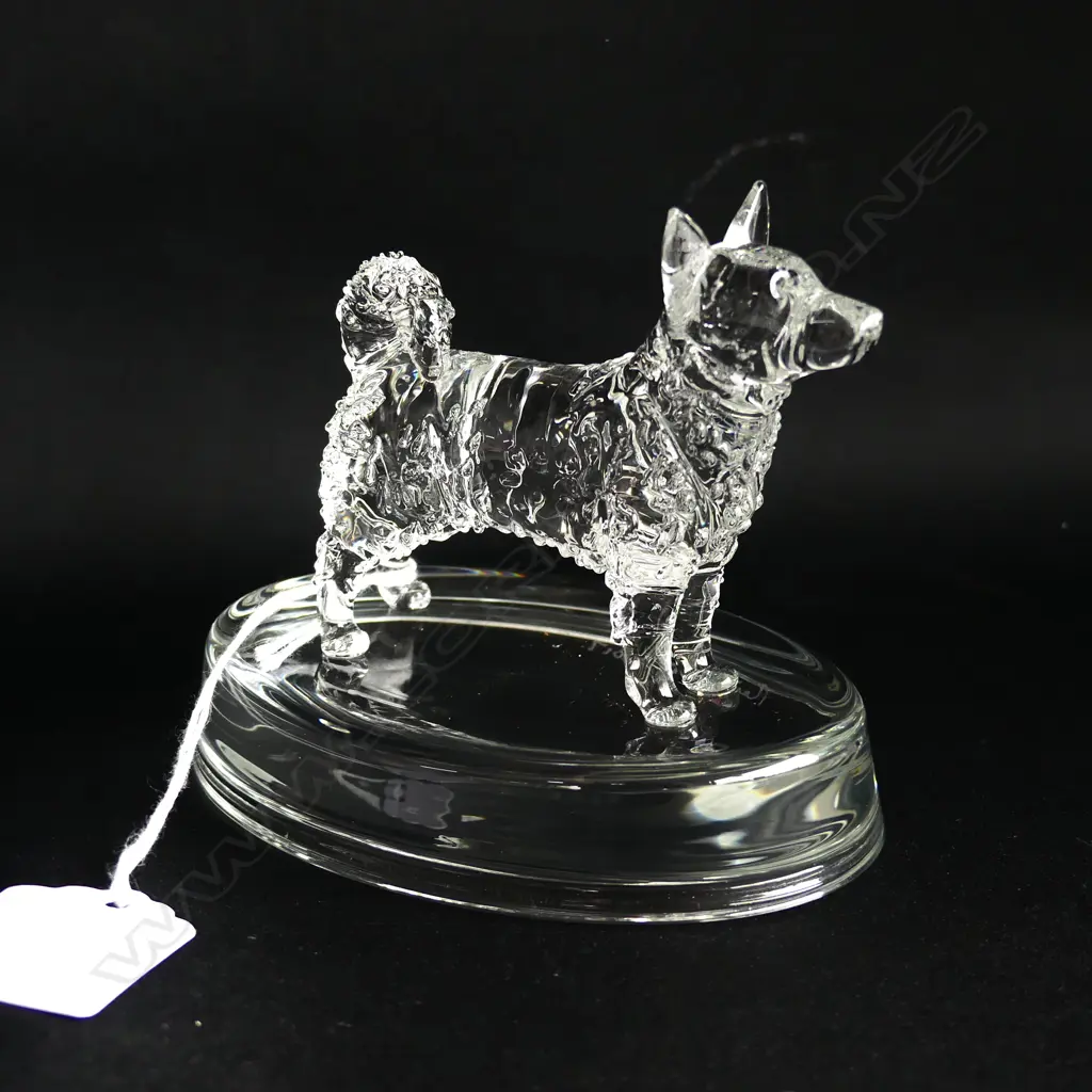 NORWEGIAN ELK HOUND GLASS PAPERWEIGHT - SIGNED & DATED 'NEIL HARRIS 2017' Image 1++