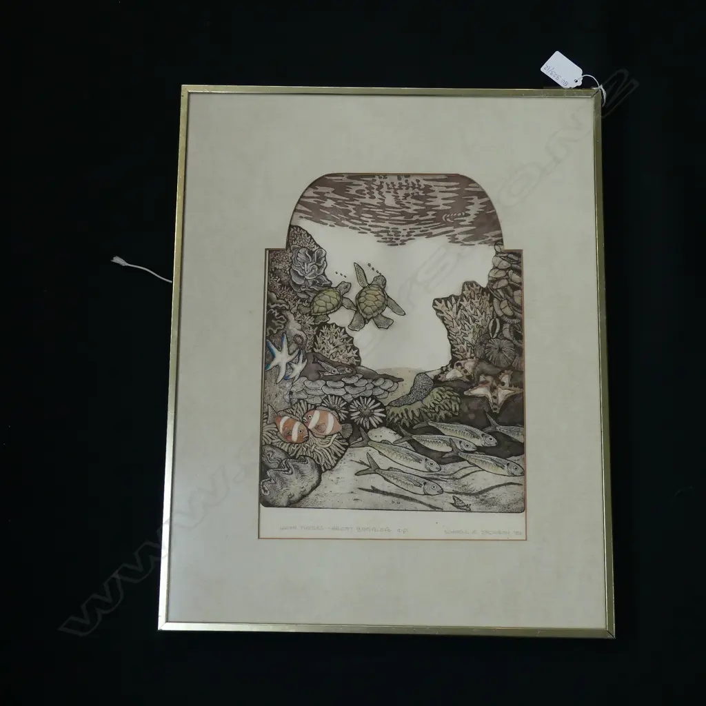 RUSSELL JACKSON ARTISTS PROOF 'GREEN TURTLES' GREAT BARRIER REEF  215 X 310MM SIGNED 1986 Image 1++