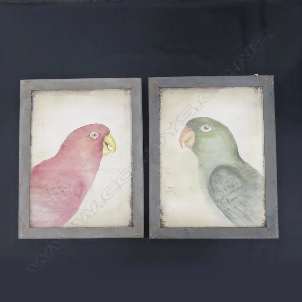 PR PARROT PAINTINGS 380 X 530MM Image 1++