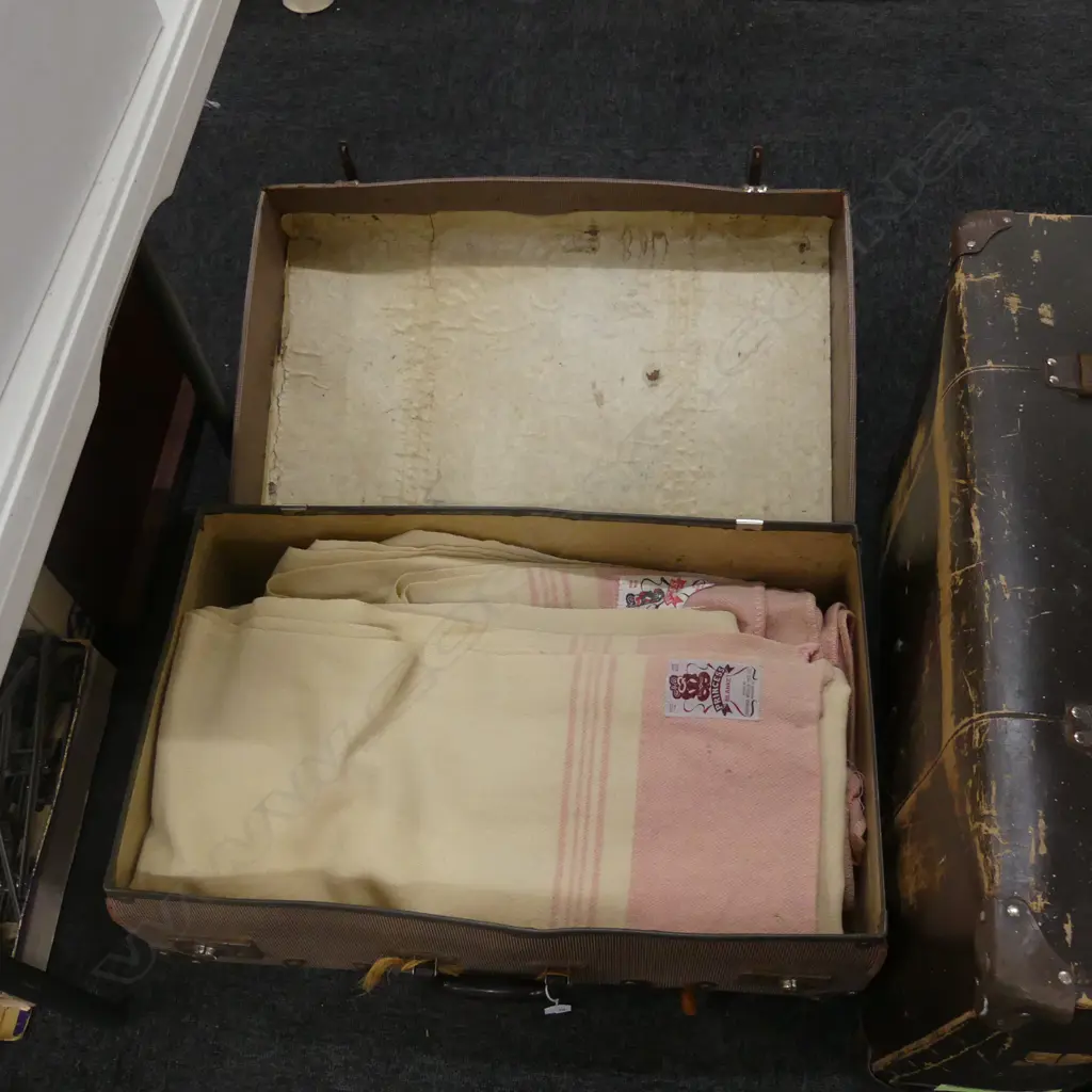 VINTAGE SUITCASE + PR ONEHUNGA WOOLLEN MILLS TIKI LABLE PRINCESS BLANKETS Image 1++