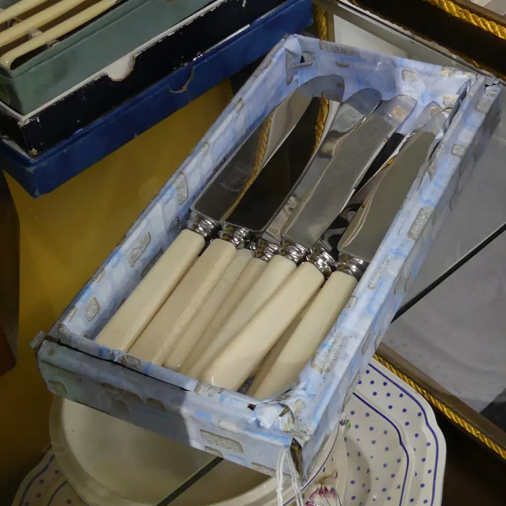 12 IVORINE 'BONE' HANDLED KNIVES; 6+6 Image 1++