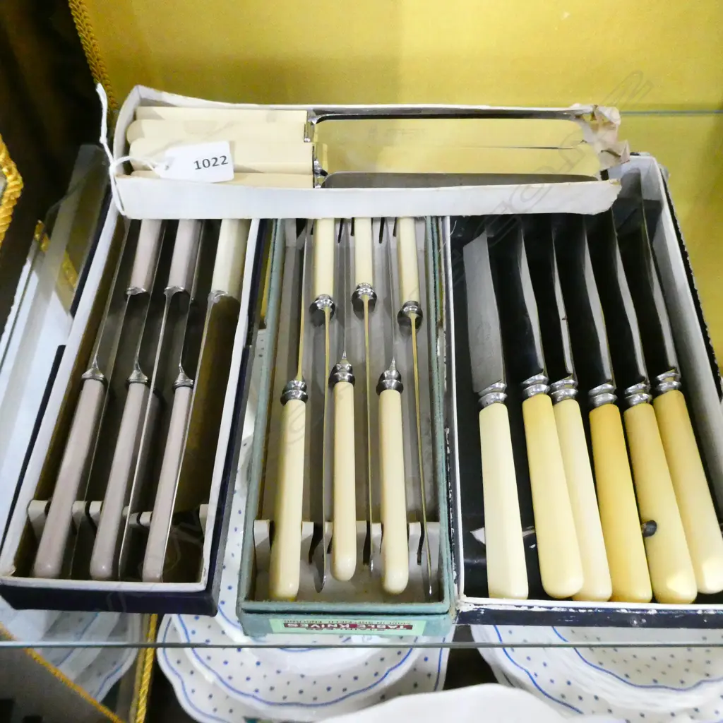 4x 6 IVORINE 'BONE' HANDLED KNIVES, BOXED Image 1++
