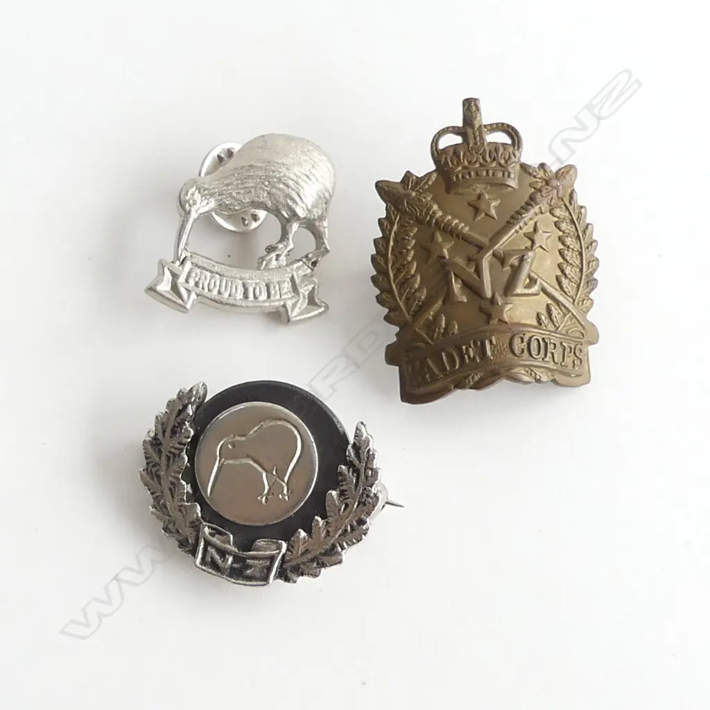 VINTAGE BRONZE NZ CADET CORPS BADGE & 2 OTHER KIWI & SILVER FERN PINS  Image 1++