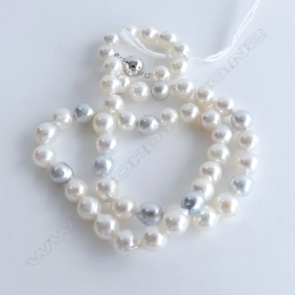 CULTURED SEA PEARL NECKLACE WITH 14ct. WHITE GOLD CLASP Image 1++