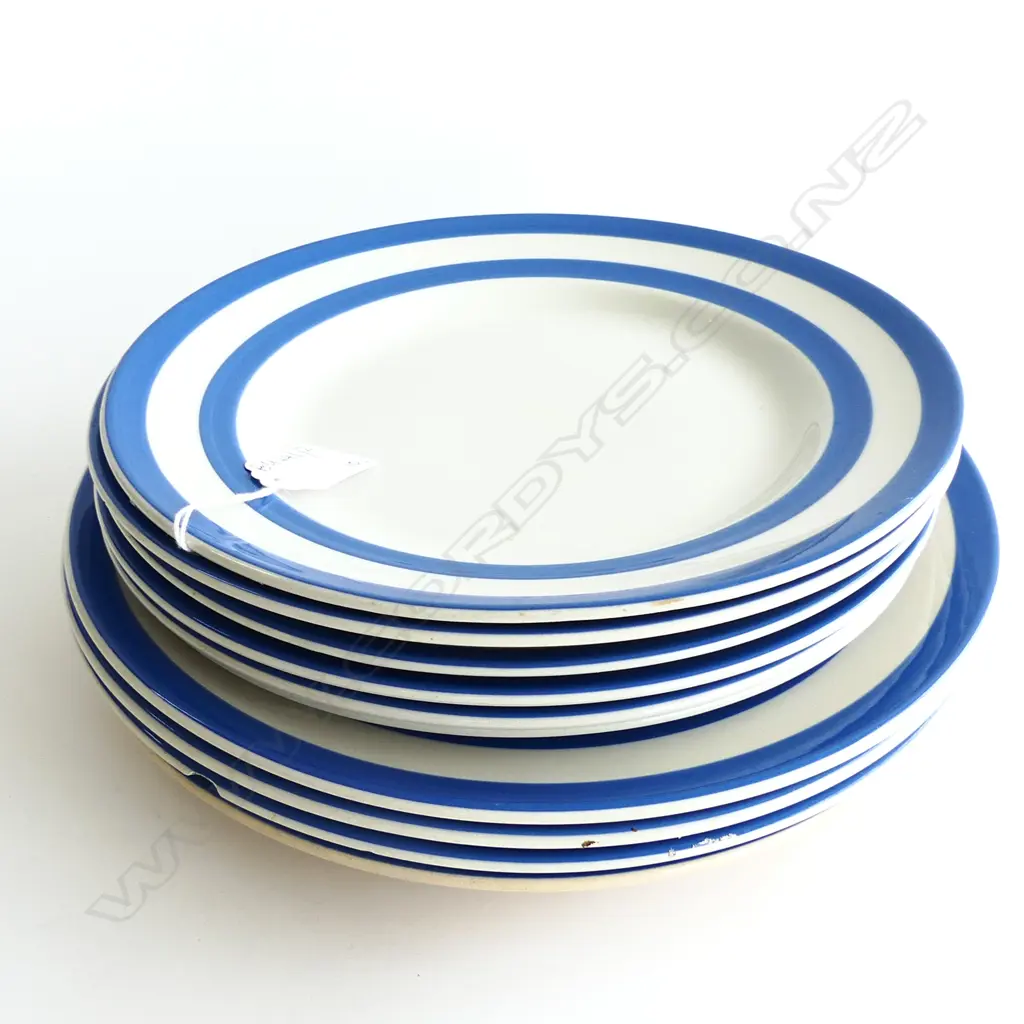10 T. G. BLUE CORNISHWARE PLATES; 4x260mm 6x230mm dia some w. minor chips Image 1++