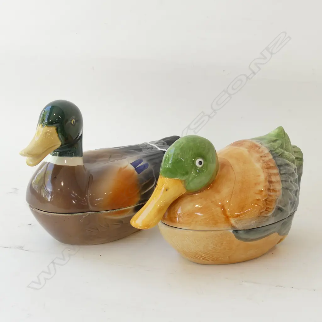 2 DUCK LIDDED DISHES L 225MM Image 1++