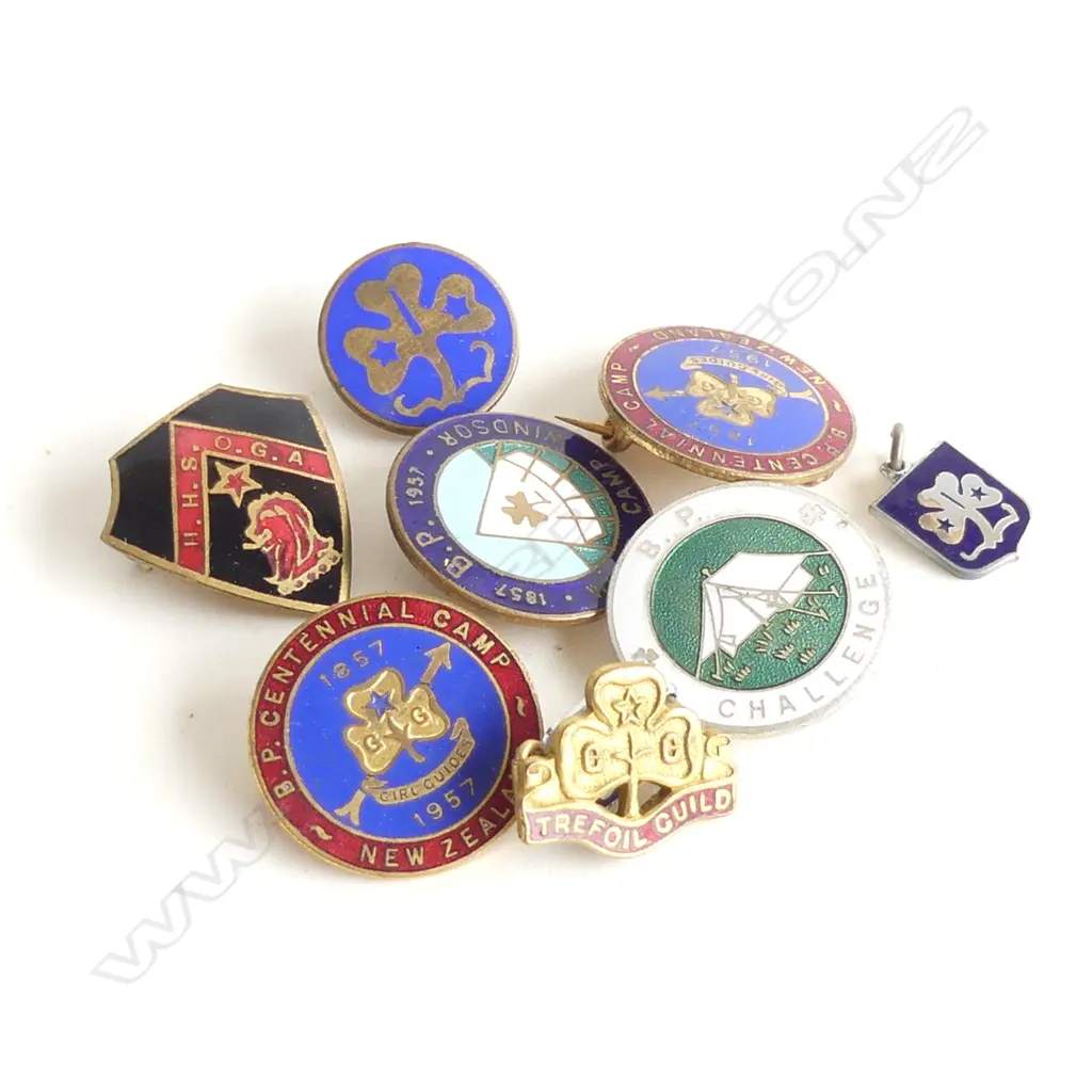 9 VINTAGE ENAMELLED BADGES. GIRL GUIDES + HAMILTON H.S.O.G.A. ETC Image 1++